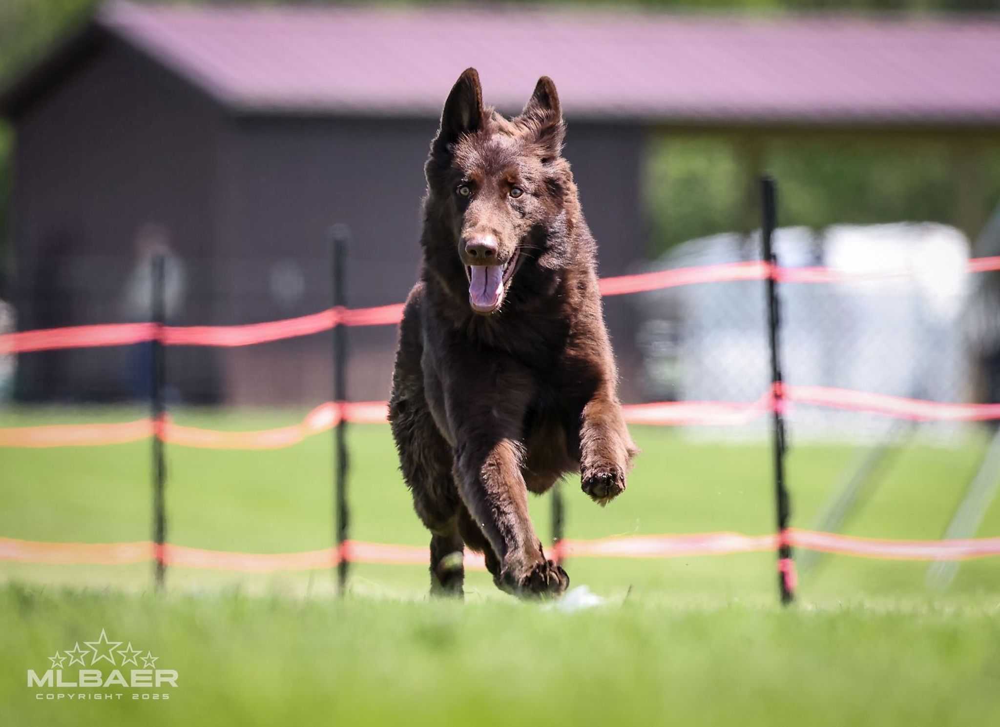 why-choose-us img-8994