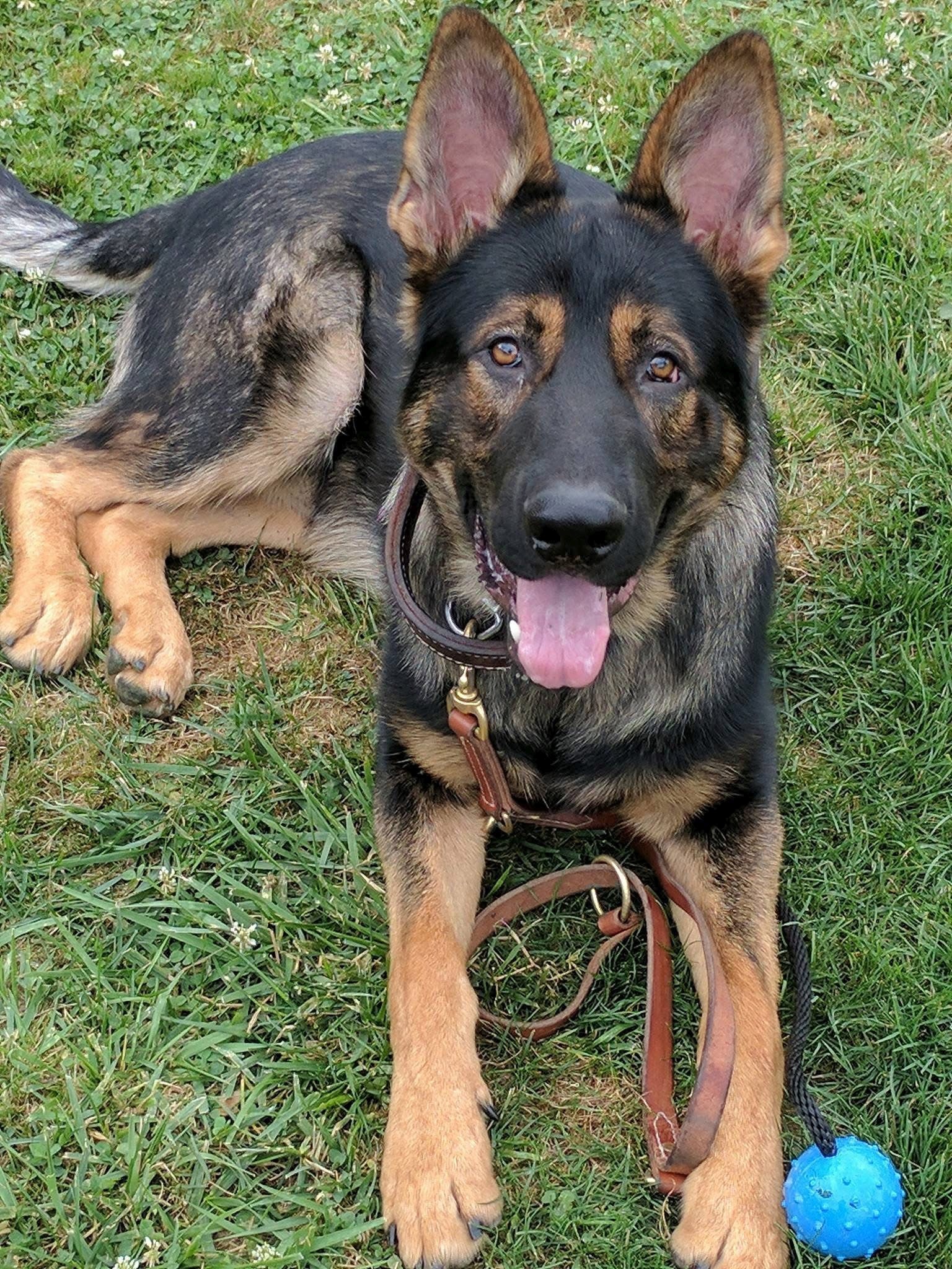 our-mission img-9912