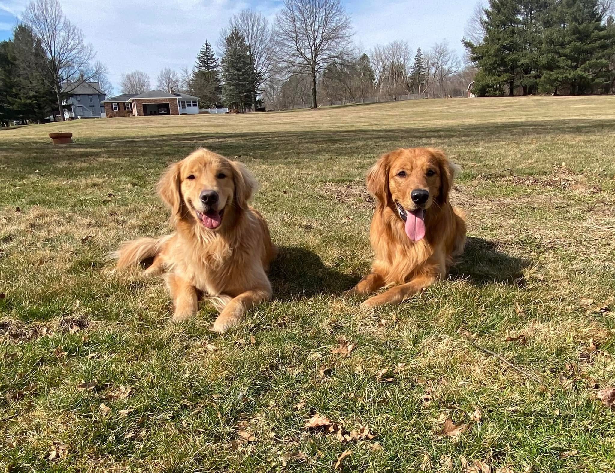 portfolio-06 img-9921