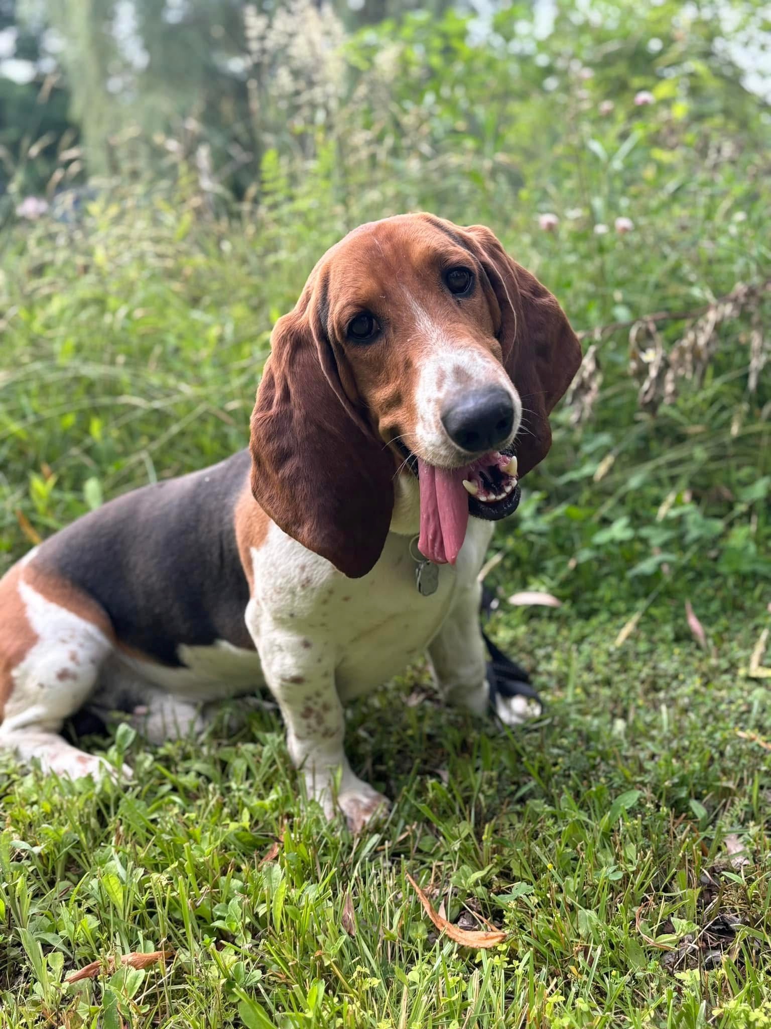 The Art of Drawing Readers In: Your attractive post title goes here img-9930